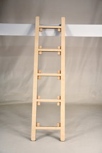 Leaning Ladder Interchangeable Full Size Floor Standing Hocus Pocus Home decor UNFINISHED blank Kit