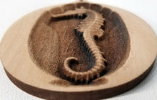 Load image into Gallery viewer, 3D Wooden Sea horse Ornament Seahorse Ornament Laser Engraved
